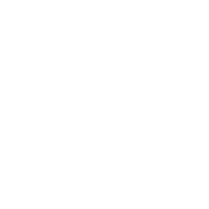 accesso disabili