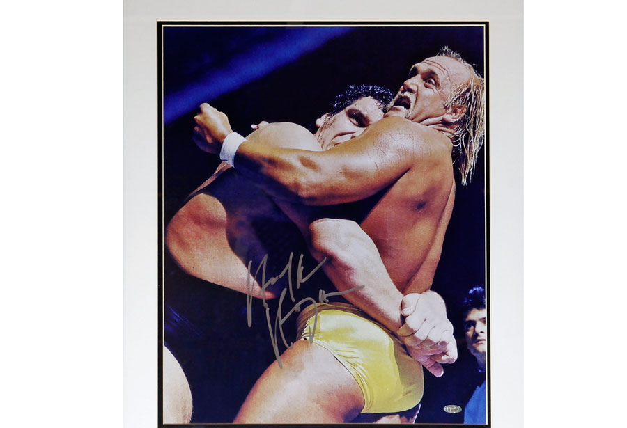 quadro-hulk-hogan